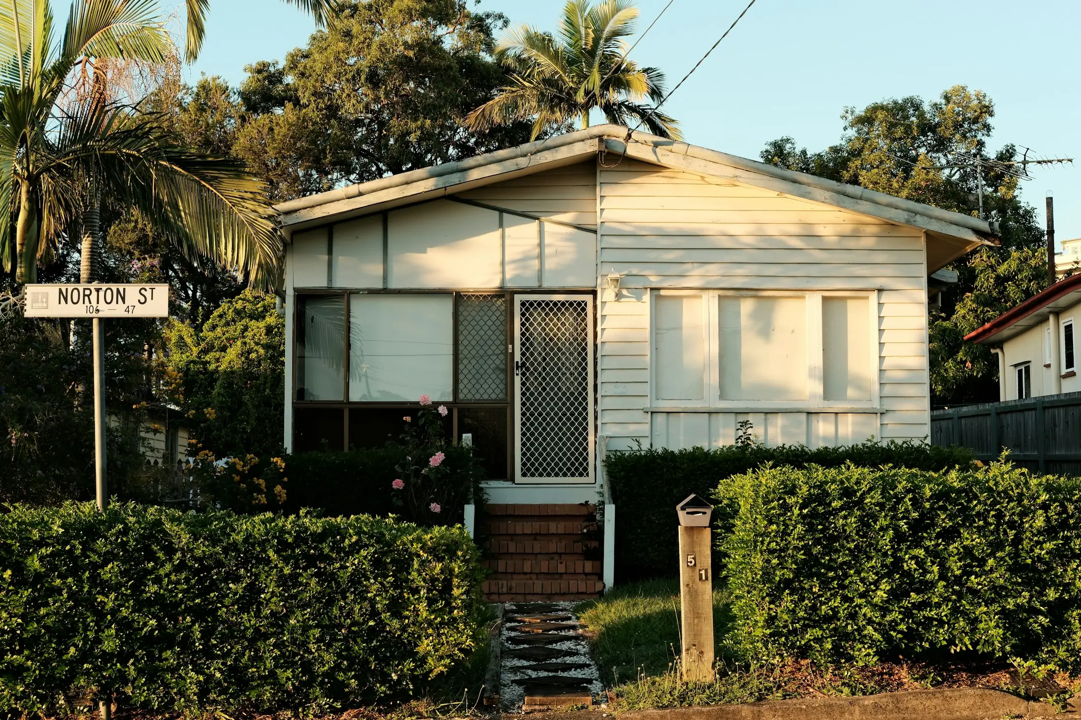 Timber cottage with a neat front hedge and palm trees on a quiet Australian street