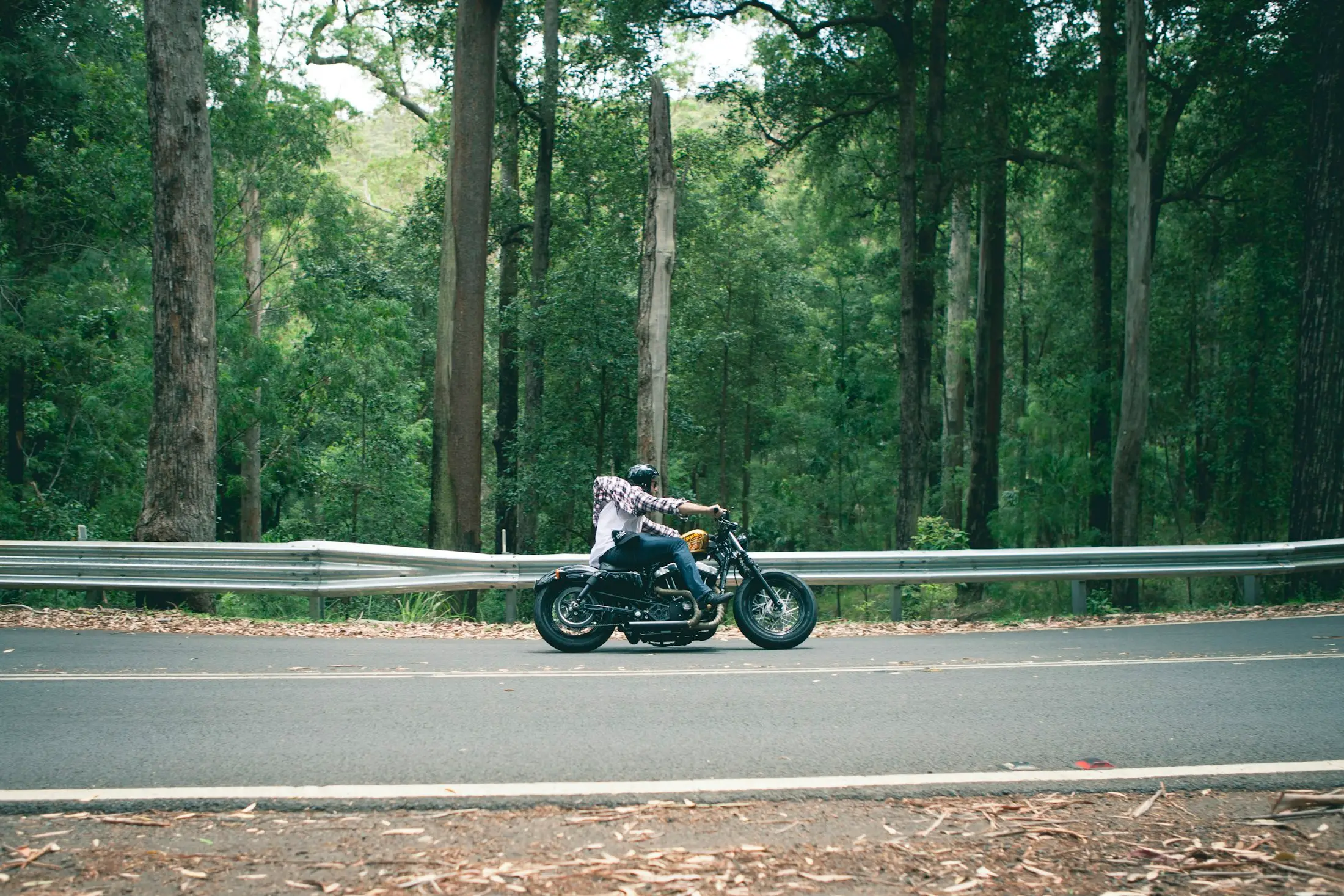 Rider on a cruiser through a tall forest road